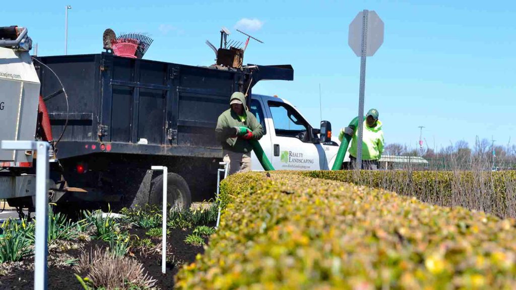 landscapers shooting mulch into flower bed