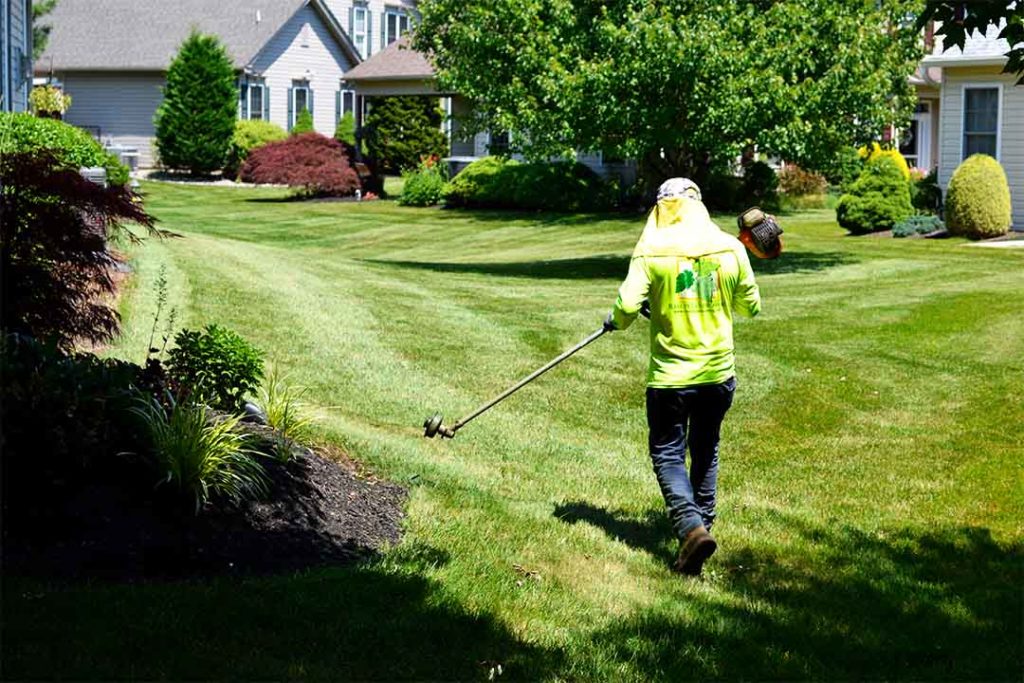 Residential Landscape Maintenance Bell Gardens thumbnail